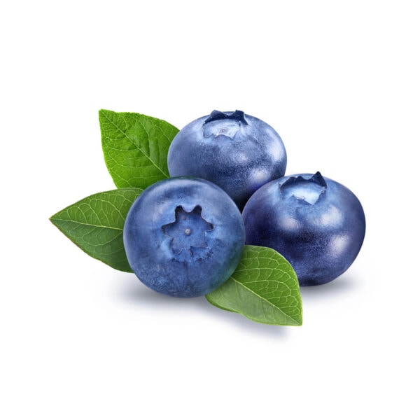 بلوبری تازه(۱۰۰ گرم)